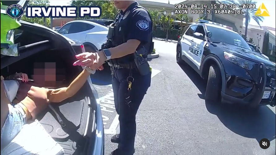 ipd-trunk-thief